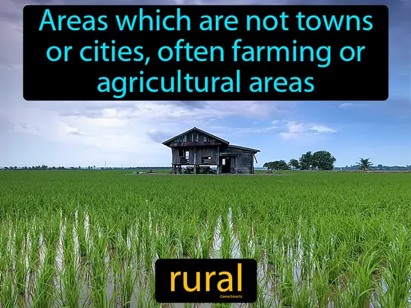 areas which are not towns or cities, often farming or agricultural areas