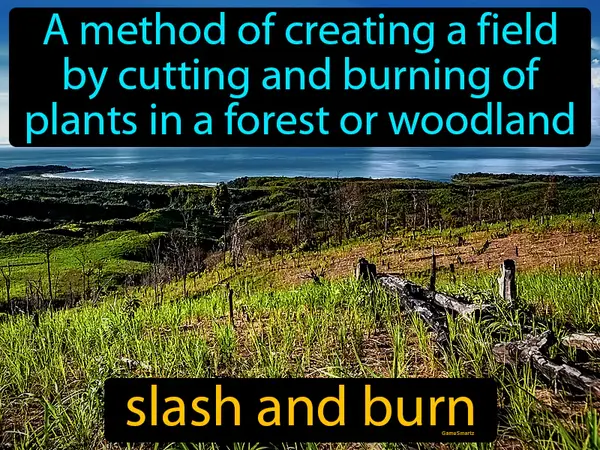 a method of creating a field by cutting and burning of plants in a forest or woodland