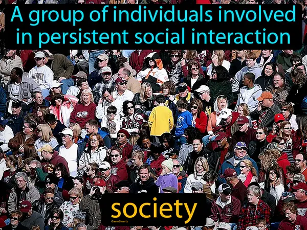 a group of individuals involved in persistent social interaction