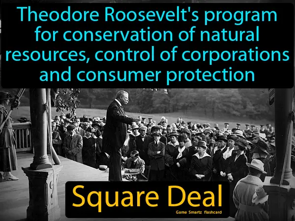 Roosevelt's program for conservation of natural resources, control of corporations and consumer protection