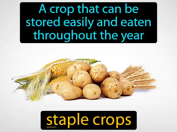 a crop that can be stored easily and eaten throughout the year