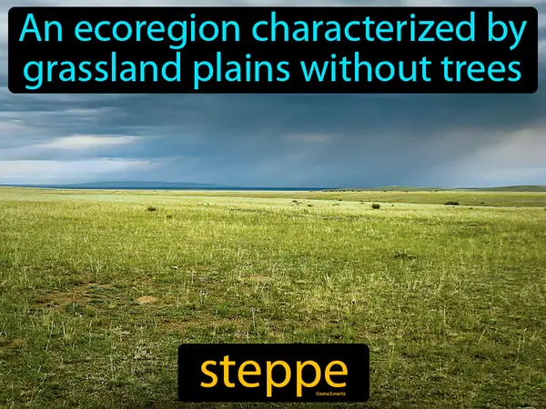 an ecoregion characterized by grassland plains without trees
