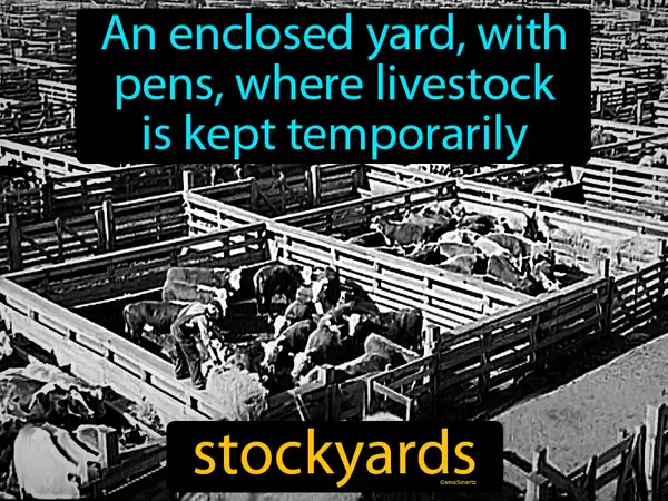 an enclosed yard, with pens, where livestock is kept temporarily