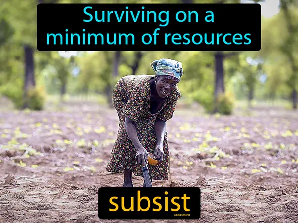 surviving on a minimum of resources