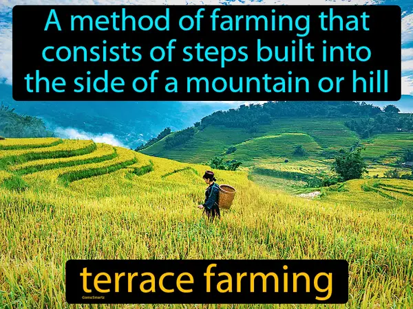 a method of farming that consists of steps built into the side of a mountain or hill