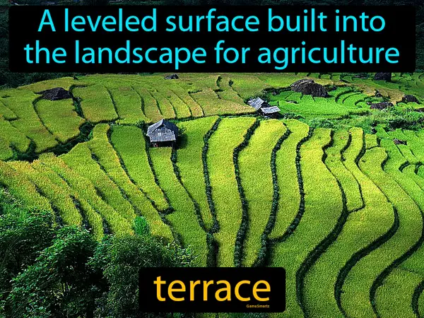 a leveled surface built into the landscape for agriculture