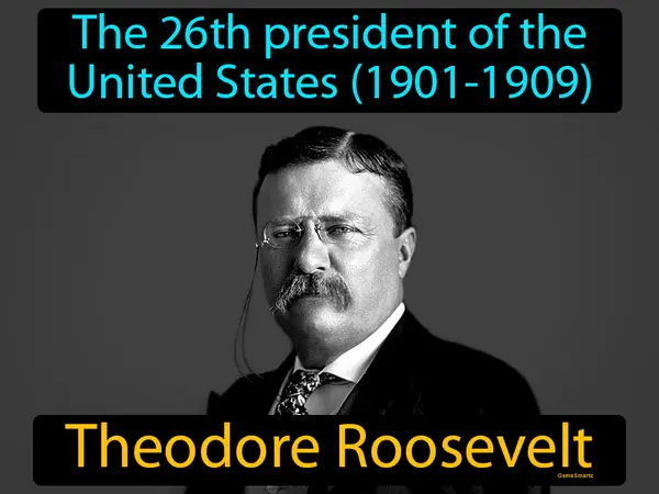 the 26th president of the United States (1901-1909)