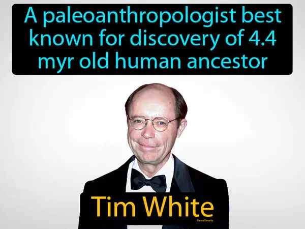 a paleoanthropologist best known for discovery of 4.4  myr old human ancestor