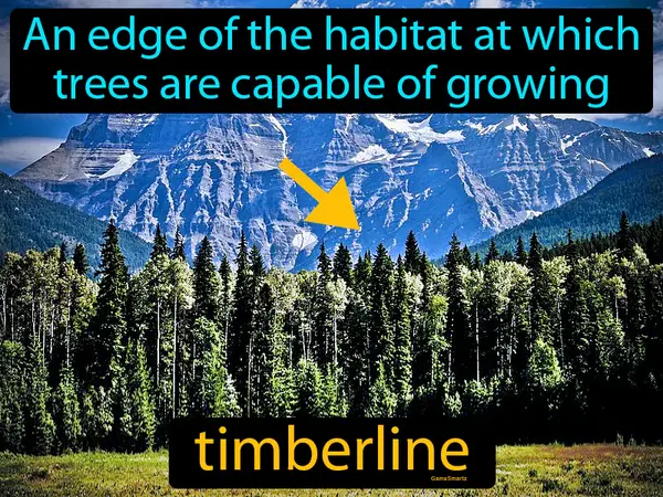 an edge of the habitat at which trees are capable of growing