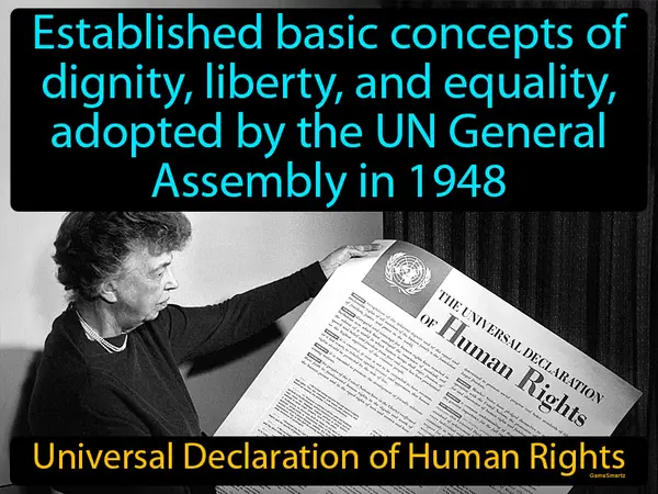 established basic concepts of dignity, liberty, and equality, adopted by the UN General Assembly in 1948