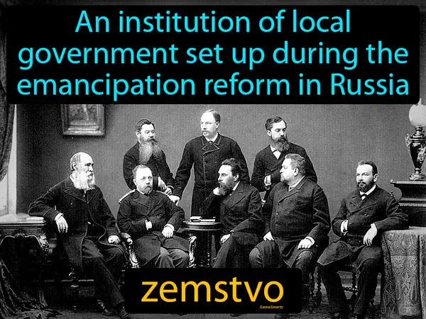 An institution of local government set up during the emancipation reform in Russia