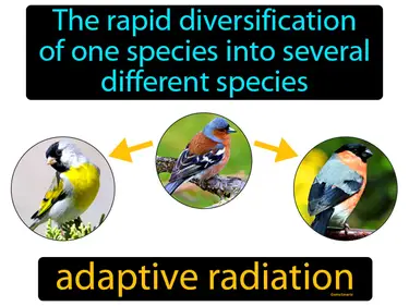 Evolution of Populations