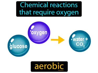 chemical reactions that require oxygen