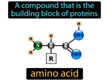 Carbon Chemistry and Living Systems