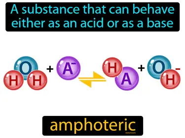 a substance that can behave either as an acid or as a base