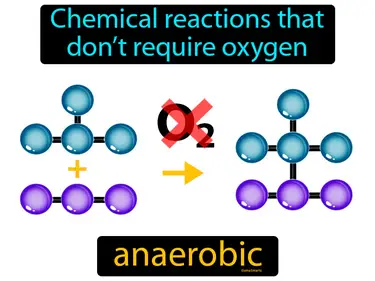 chemical reactions that don’t require oxygen
