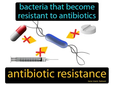 Bacteria that become resistant to antibiotics