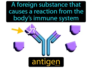 a foreign substance that causes a reaction from the body’s immune system