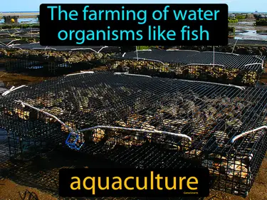 the farming of water organisms like fish