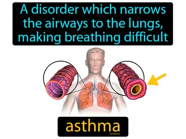 a disorder which narrows the airways to the lungs, making breathing difficult