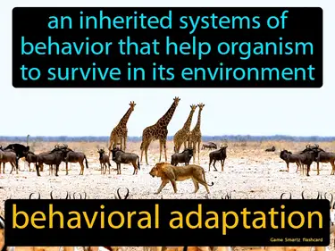 An inherited systems of
behavior that helps organism
to survive in its environment