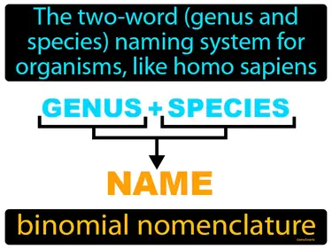 Classifying Living Things