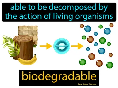 Able to be decomposed by the action of living organisms