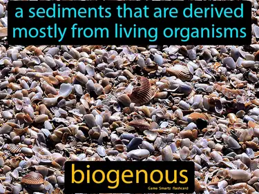 A sediments that are derived mostly from living organisms