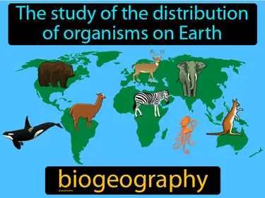 the study of the distribution of organisms on Earth