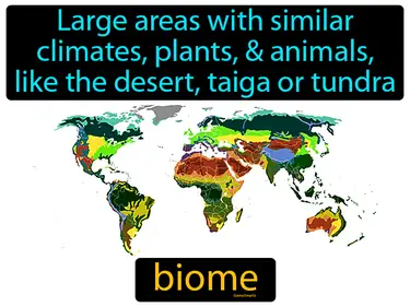 Biomes and Ecosystems