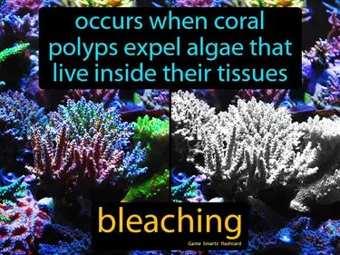 Occurs when coral polyps expel algae that live inside their tissues