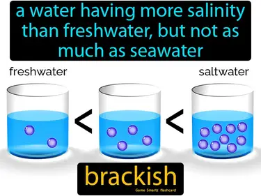 A water having more salinity than freshwater, but not as much as seawater
