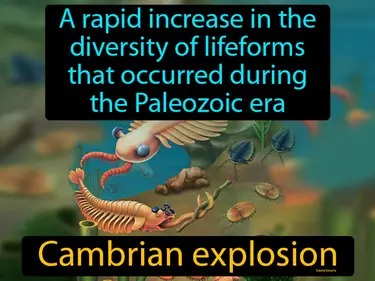 a rapid increase in the diversity of lifeforms that occurred during the Paleozoic era
