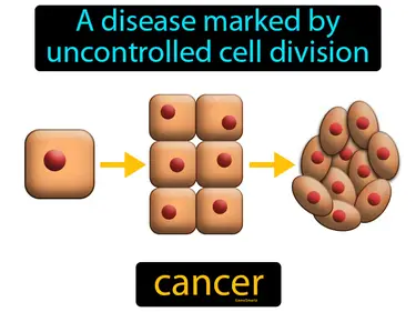 a disease marked by uncontrolled cell division