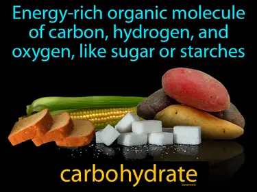 an energy-rich organic molecule of carbon, hydrogen, and oxygen, like sugar or starches