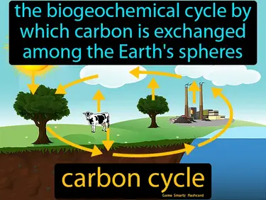 The biogeochemical cycle by which carbon is exchanged among the Earth's spheres