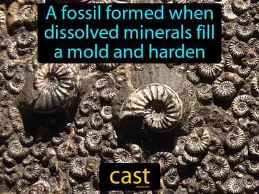 a fossil formed when dissolved minerals fill a mold and harden