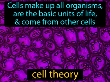 cells make up all organisms, are the basic units of life, and come from other cells