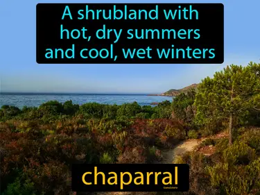a shrubland with hot, dry summers and cool, wet winters, it is also known as Mediterranean shrubland