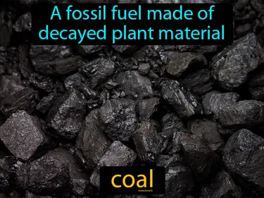 a fossil fuel made of decayed plant material