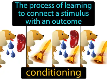 the process of learning to connect a stimulus with an outcome