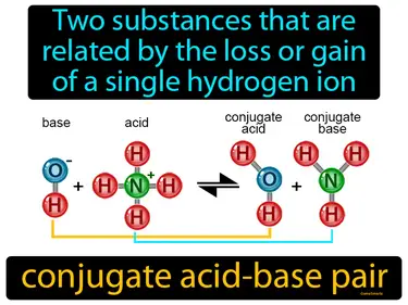 two substances that are related by the loss or gain of a single hydrogen ion