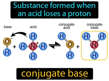 substance formed when an acid loses a proton