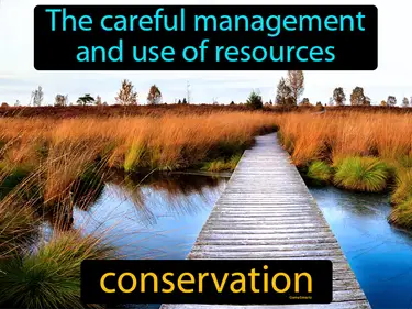 the careful management and use of resources