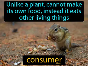 unlike a plant, cannot make its own food, instead it eats other living things