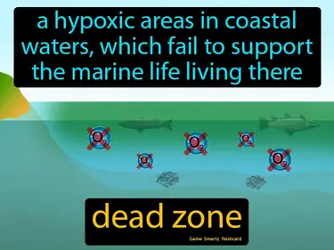 A hypoxic areas in coastal waters, which fail to support the marine life living there