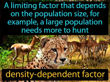 a limiting factor that depends on the population size, for example, a large population needs more to hunt
