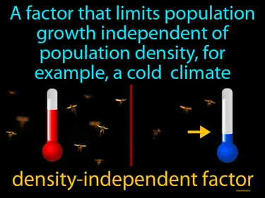 a factor that limits population growth independent of population size, for example a cold climate