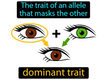a trait of an allele that masks the other trait