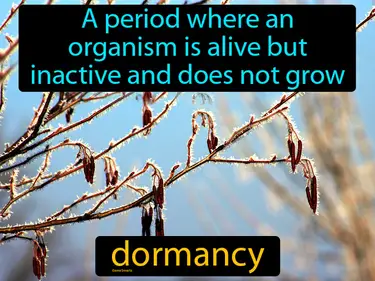 a period where an organism is alive but inactive and does not grow
